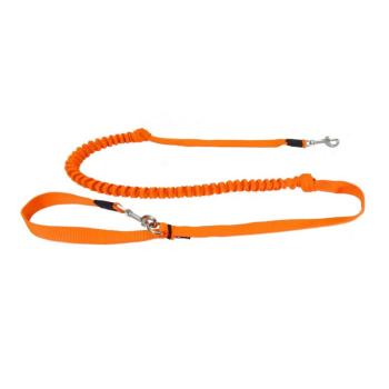 Preview: Bungee Leine 2K kleine Hunde Welpen Orange